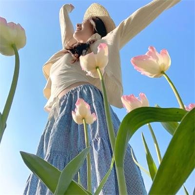 断肠孤凤